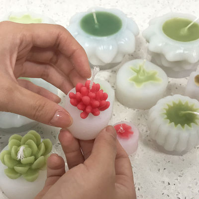 Succulente Kaarsvormen Duurzame MHC Unieke 3d Kaars Kleine Succulente Mini Maken Kit Taartgereedschap Type Vormen
